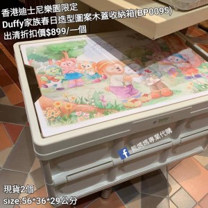 (出清) 香港迪士尼樂園限定 Duffy 家族春日造型圖案木蓋收納箱 (BP0095)